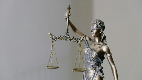 Nationalité belge – Cour constitutionnelle – avocat
